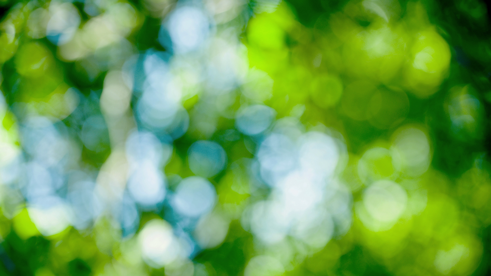 Linowa の詩-静けさの中の光-