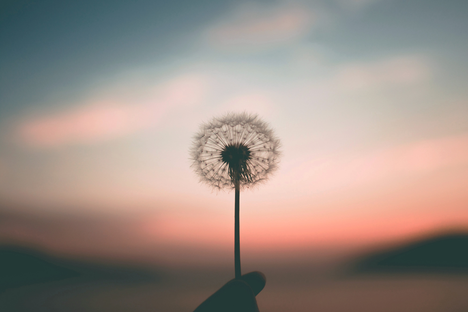 Wellness-心と身体と暮らしの“静かな中心”を取り戻す