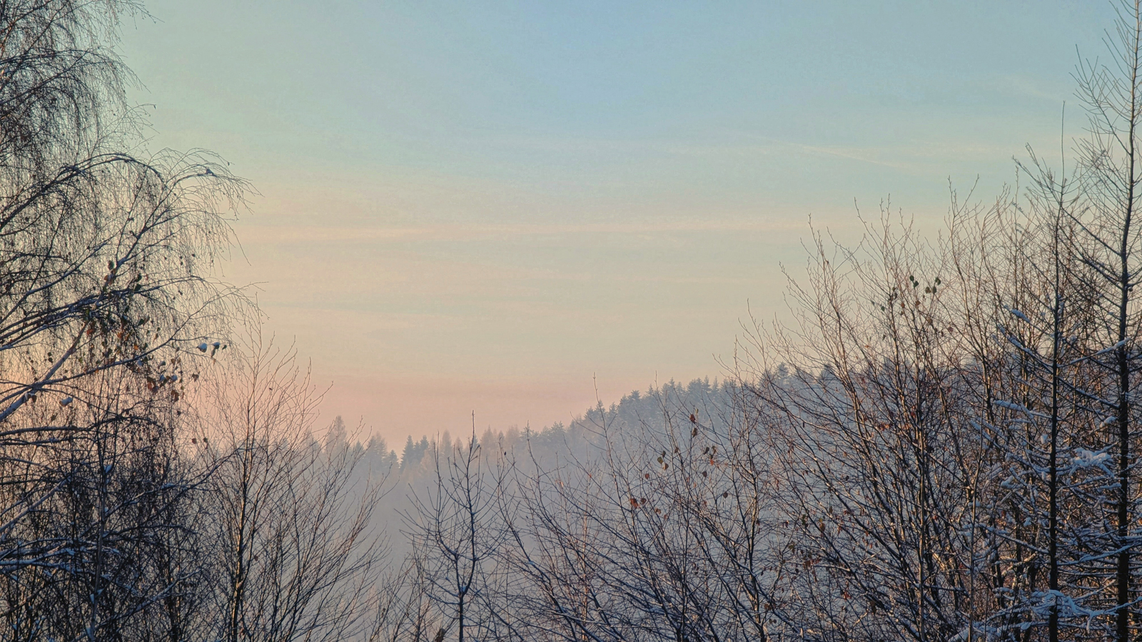 冬明けの光の中で揺れるもの