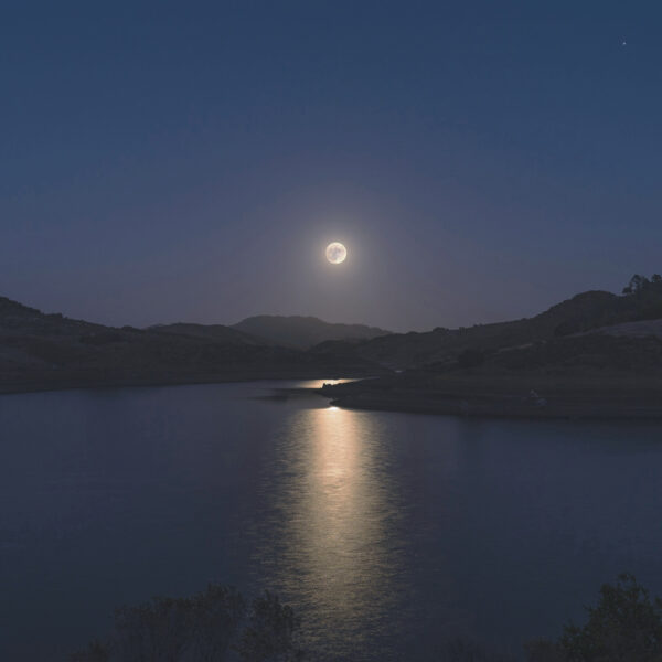 月光が水面に反射し、静かに揺れる夜の風景