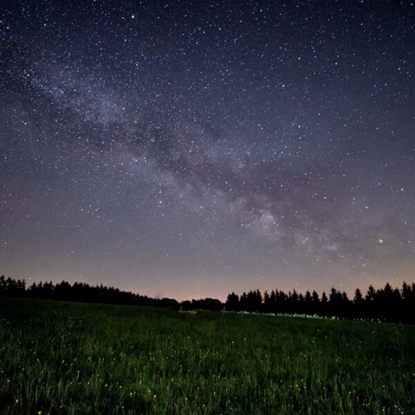 星が広がる夜空と天の川が見える静かな草原の風景
