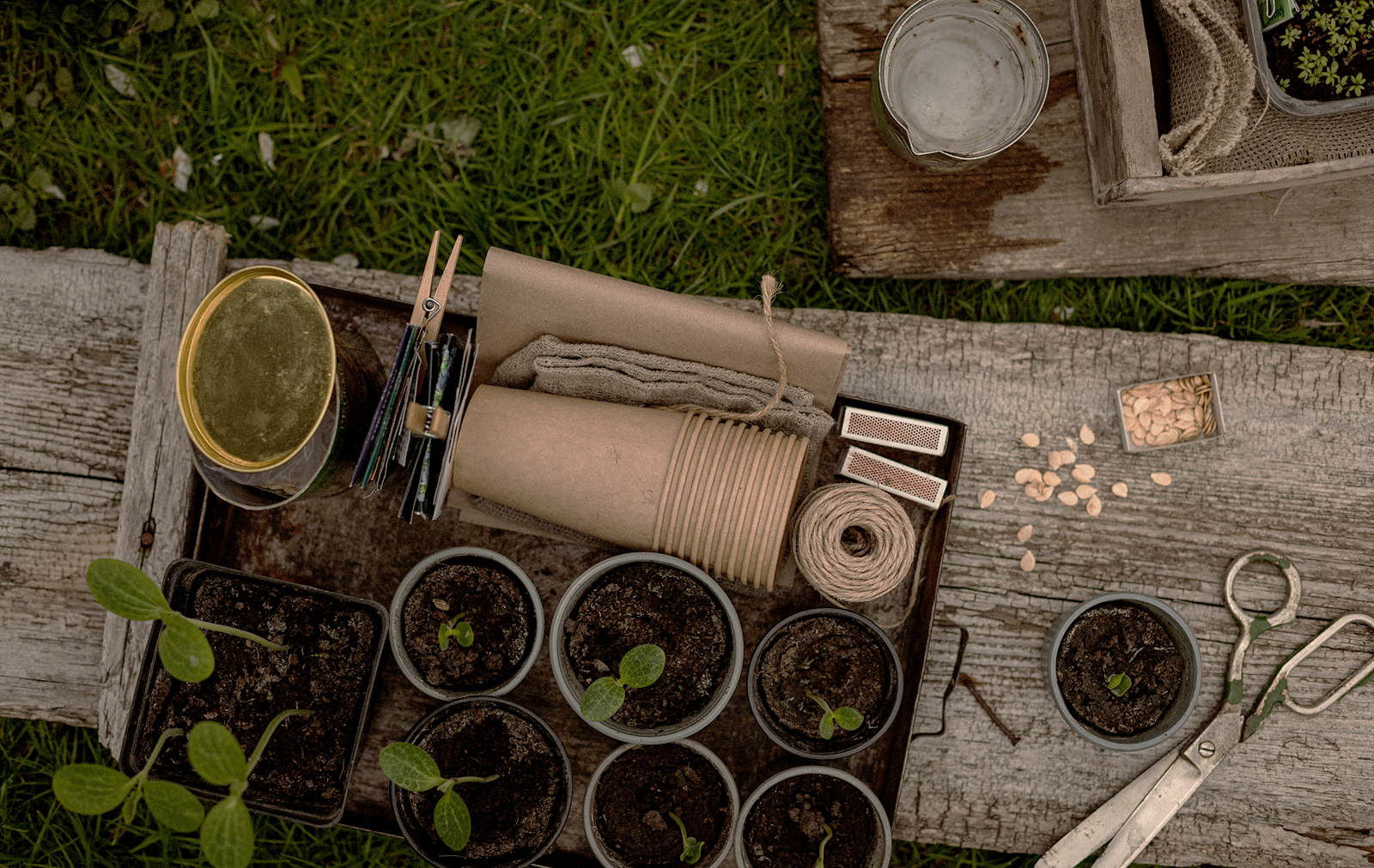 植物と暮らすということ──Gardening 総合ガイド