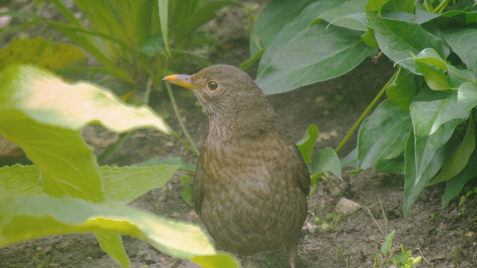 大地に触れるということ